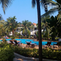 фото из отзыва ID 694549