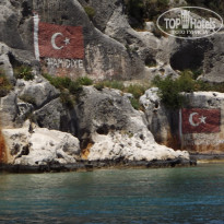 фото из отзыва ID 694721