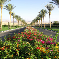 фото из отзыва ID 694769