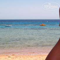 фото из отзыва ID 694769