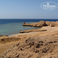 фото из отзыва ID 694769