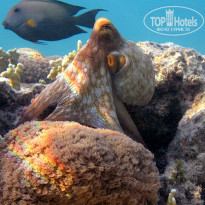 фото из отзыва ID 694769