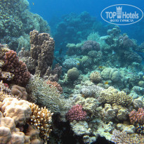 фото из отзыва ID 694769