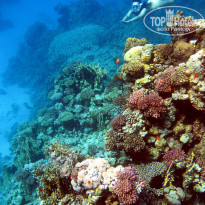 фото из отзыва ID 694769