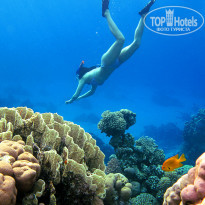 фото из отзыва ID 694769