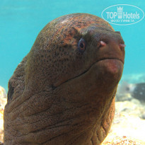 фото из отзыва ID 694769