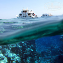 фото из отзыва ID 694769