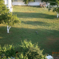 фото из отзыва ID 694753