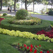 фото из отзыва ID 694138