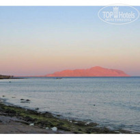 фото из отзыва ID 6953