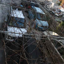 фото из отзыва ID 695004