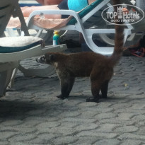 фото из отзыва ID 695364