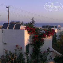 фото из отзыва ID 695411