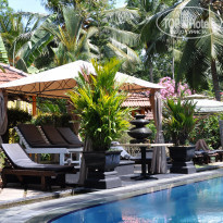 фото из отзыва ID 695424