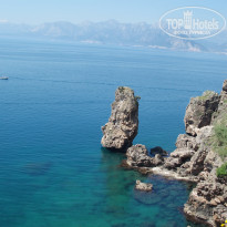 фото из отзыва ID 695572