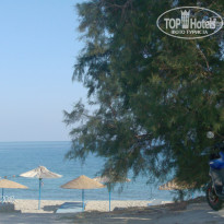 фото из отзыва ID 695697