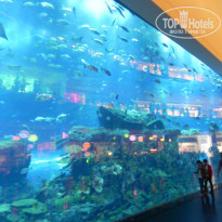 фото из отзыва ID 695904