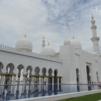 фото из отзыва ID 695904