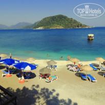 фото из отзыва ID 695996