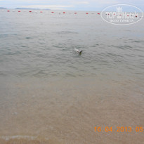 фото из отзыва ID 695161