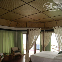 фото из отзыва ID 696336