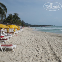 фото из отзыва ID 696341