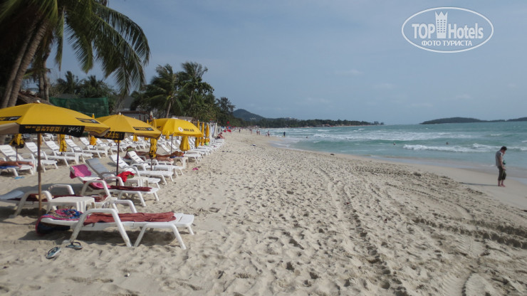 Hotel photo Synergy Samui 4*