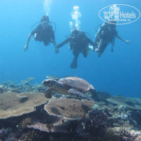 фото из отзыва ID 696356