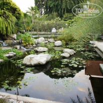 фото из отзыва ID 696586