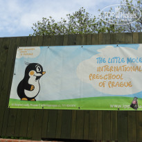 фото из отзыва ID 696609