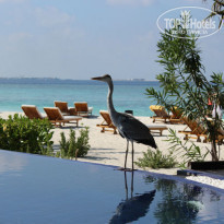 фото из отзыва ID 696632