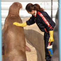 фото из отзыва ID 696662