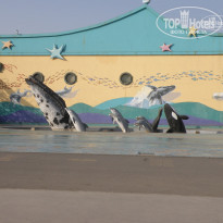 фото из отзыва ID 696662