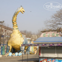 фото из отзыва ID 696662