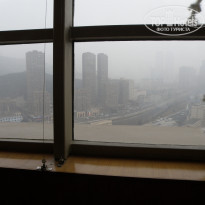 фото из отзыва ID 696662