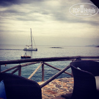 фото из отзыва ID 696696