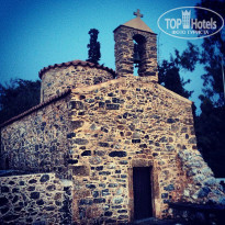 фото из отзыва ID 696696