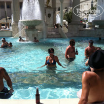 фото из отзыва ID 696709