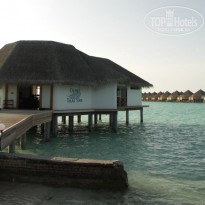 фото из отзыва ID 696336