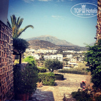 фото из отзыва ID 696696