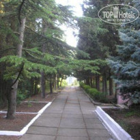 фото из отзыва ID 69691