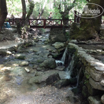 фото из отзыва ID 697622