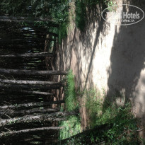 фото из отзыва ID 697123