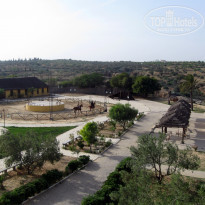 фото из отзыва ID 697178