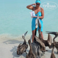 фото из отзыва ID 697300