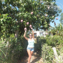 фото из отзыва ID 697300