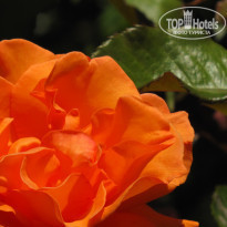 фото из отзыва ID 697644