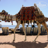 фото из отзыва ID 697805