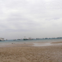 фото из отзыва ID 697805