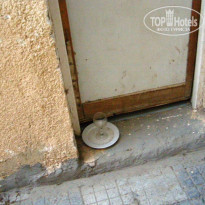 фото из отзыва ID 697805